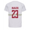 Original Fußballtrikot Dänemark Pierre-Emile Hojbjerg 23 Auswärtstrikot WM 2022 Für Herren